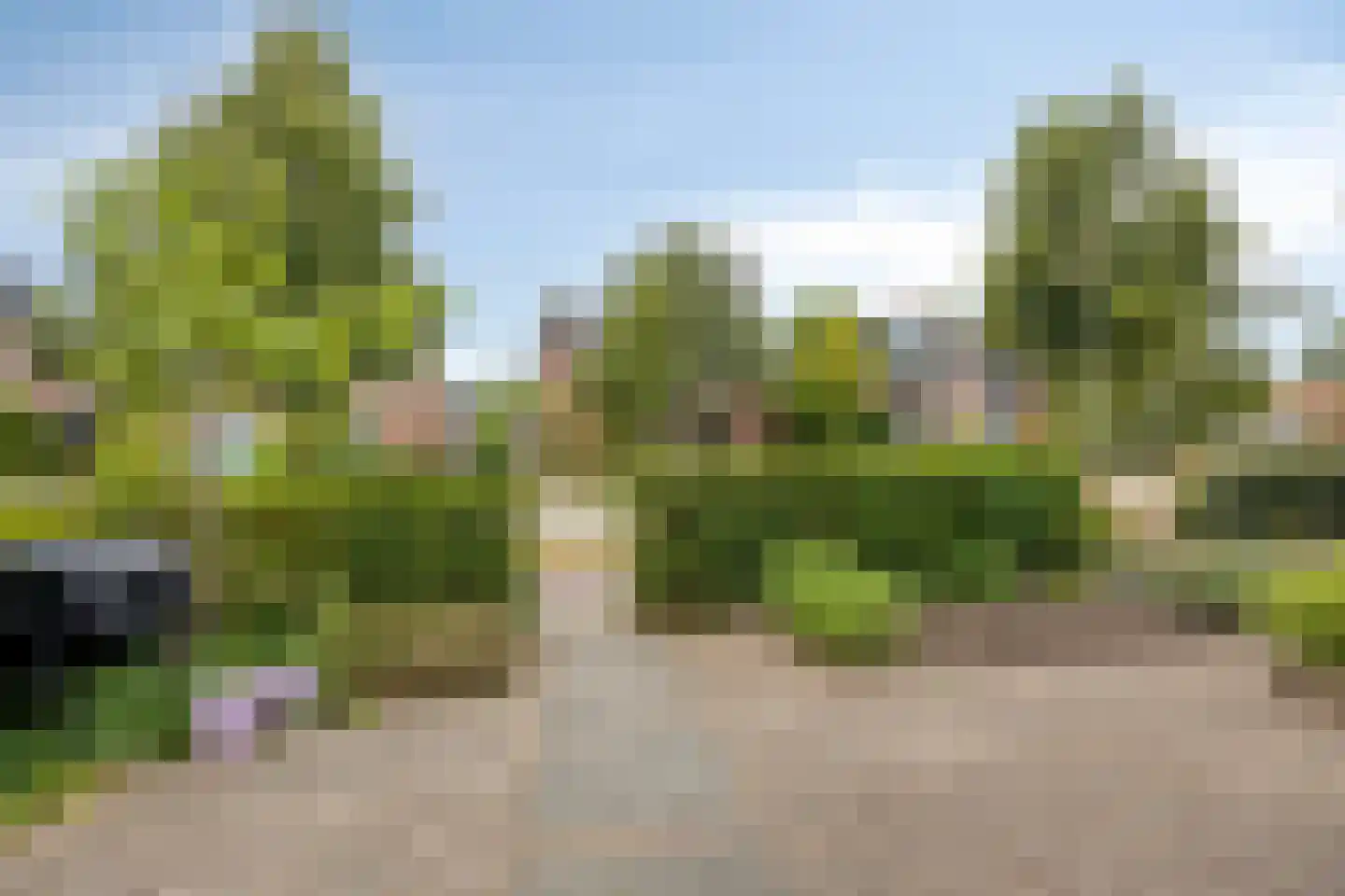 Thijsselaan 82 Culemborg thumbnail 32