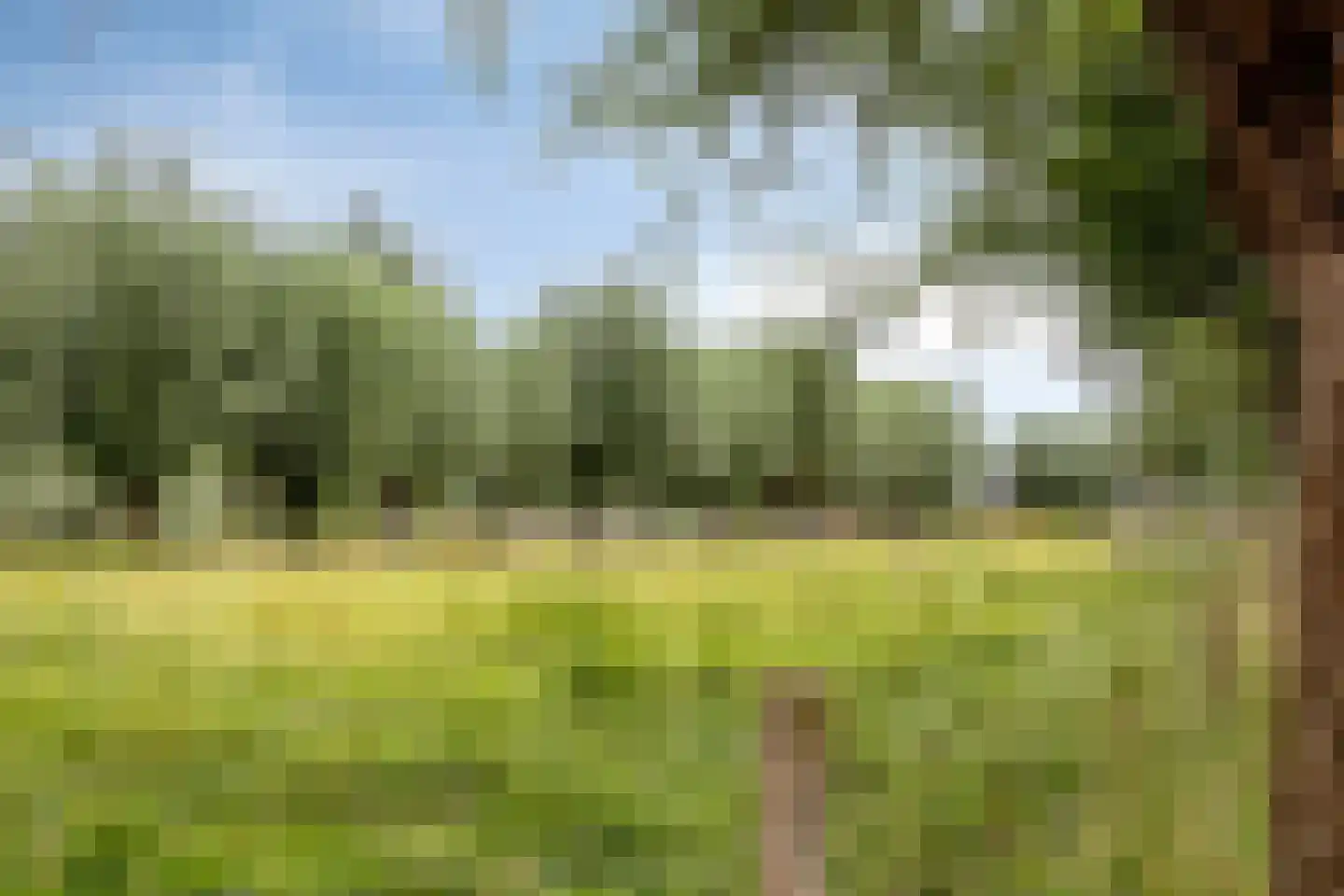 Thijsselaan 82 Culemborg thumbnail 36