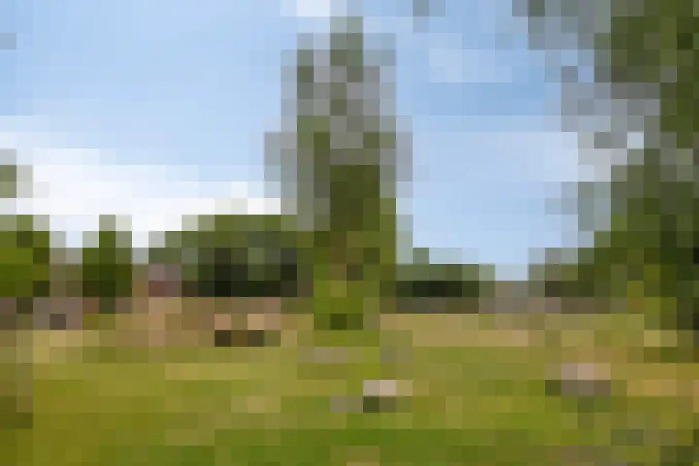 Thijsselaan 82 Culemborg thumbnail 37