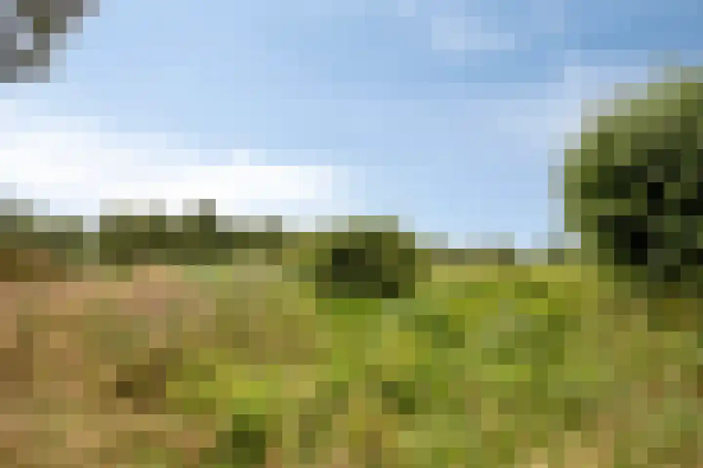 Thijsselaan 82 Culemborg thumbnail 39