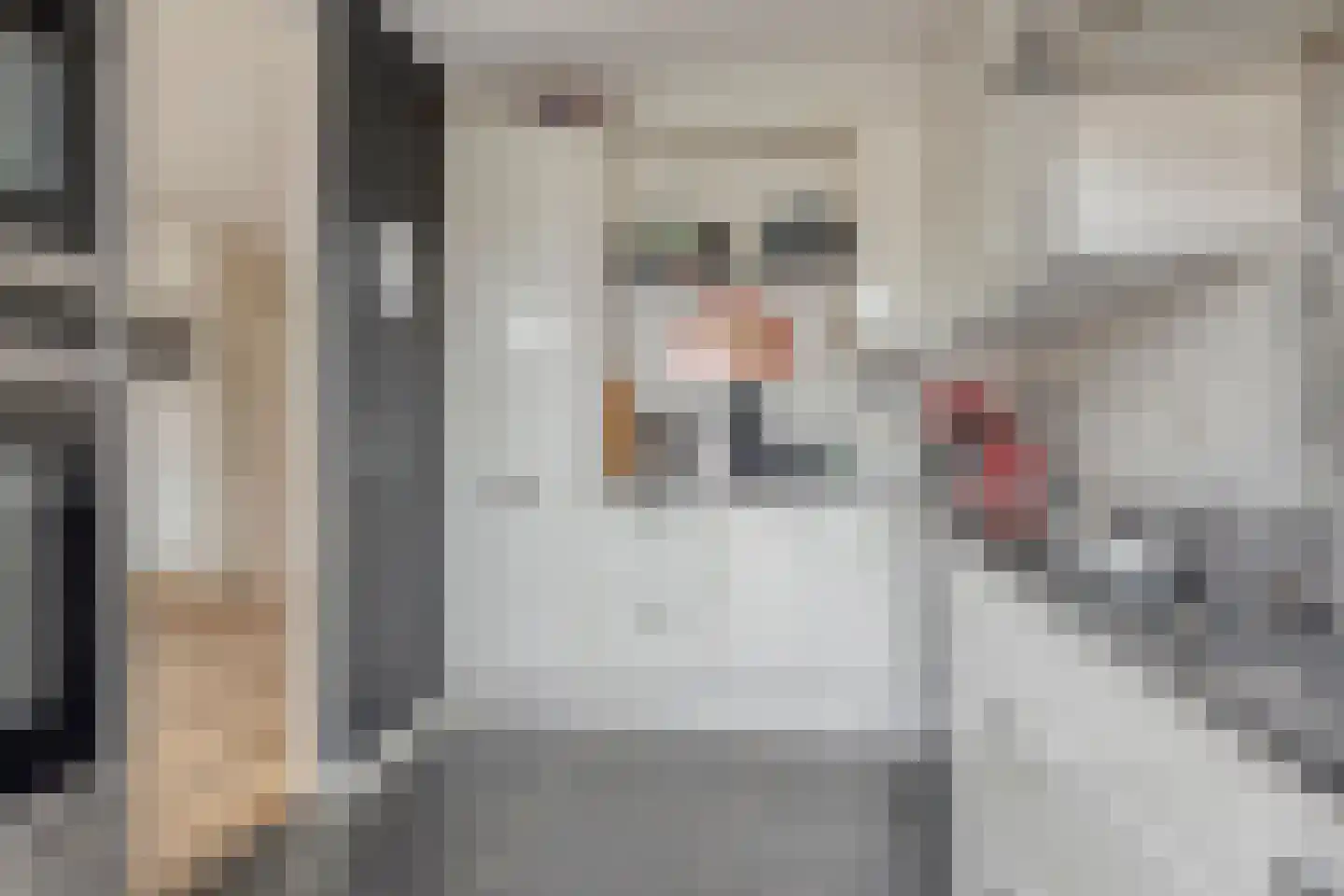 Thijsselaan 82 Culemborg thumbnail 7