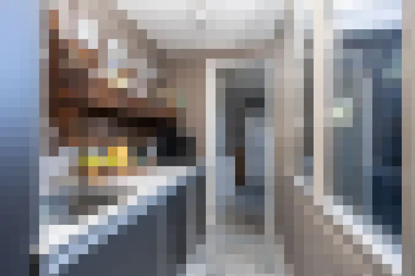 Thijsselaan 89 Den Burg thumbnail 22