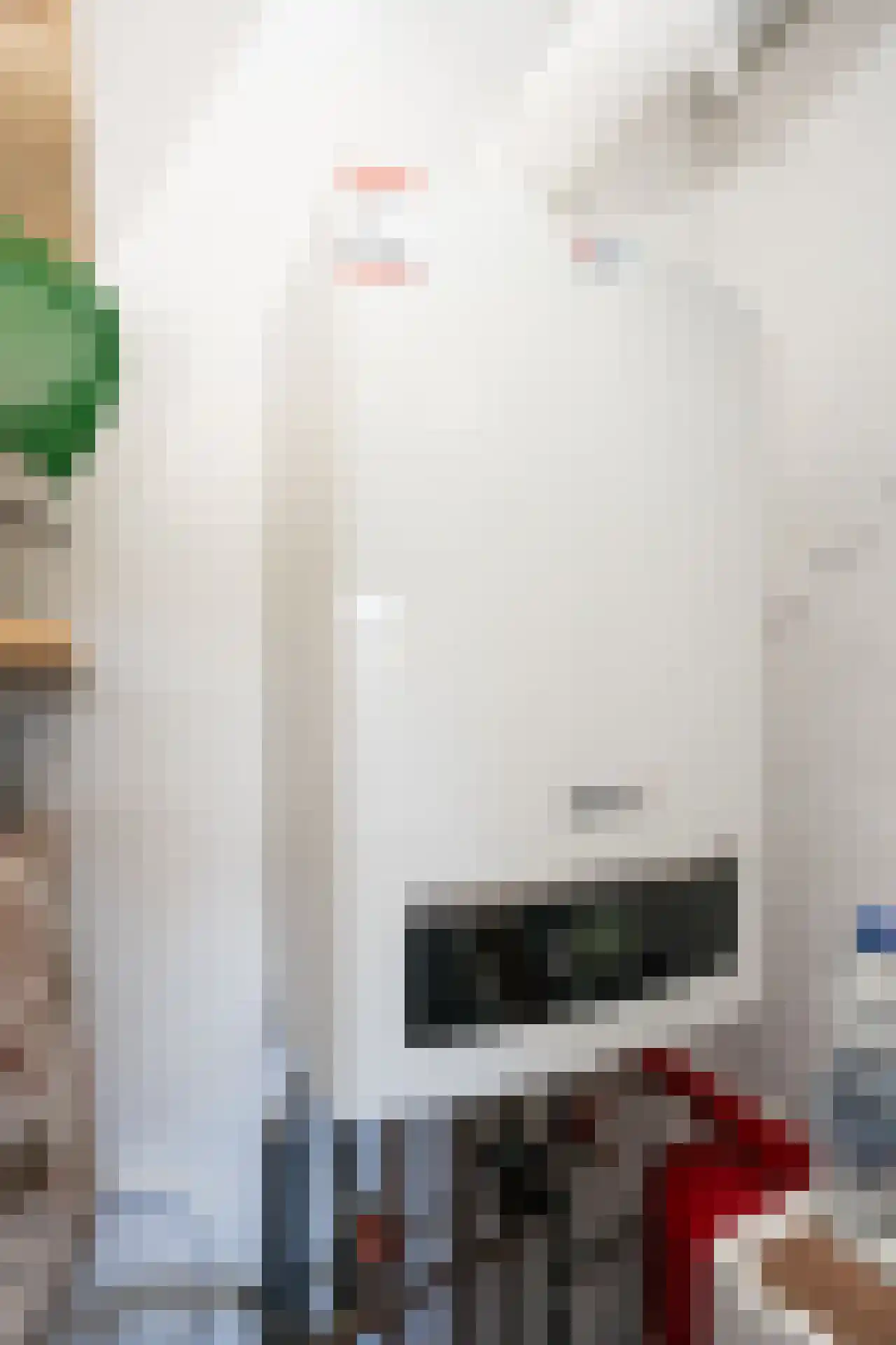 Thijsselaan 89 Den Burg thumbnail 25