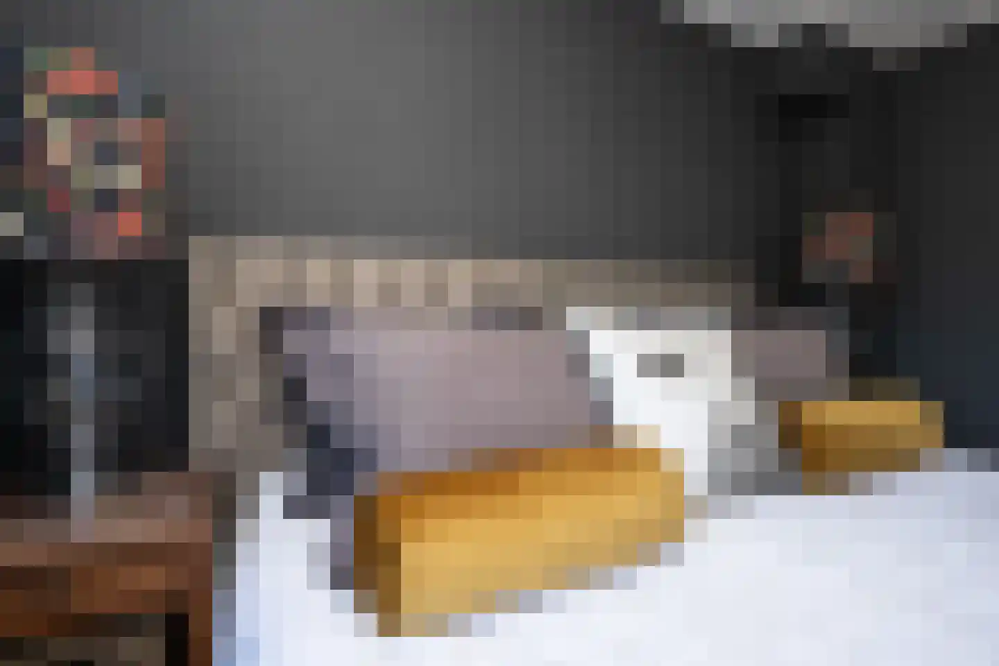 Thijsselaan 89 Den Burg thumbnail 38