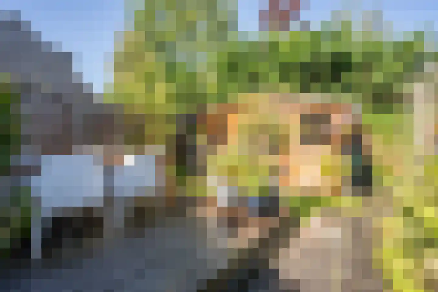 Thijsselaan 89 Den Burg thumbnail 69