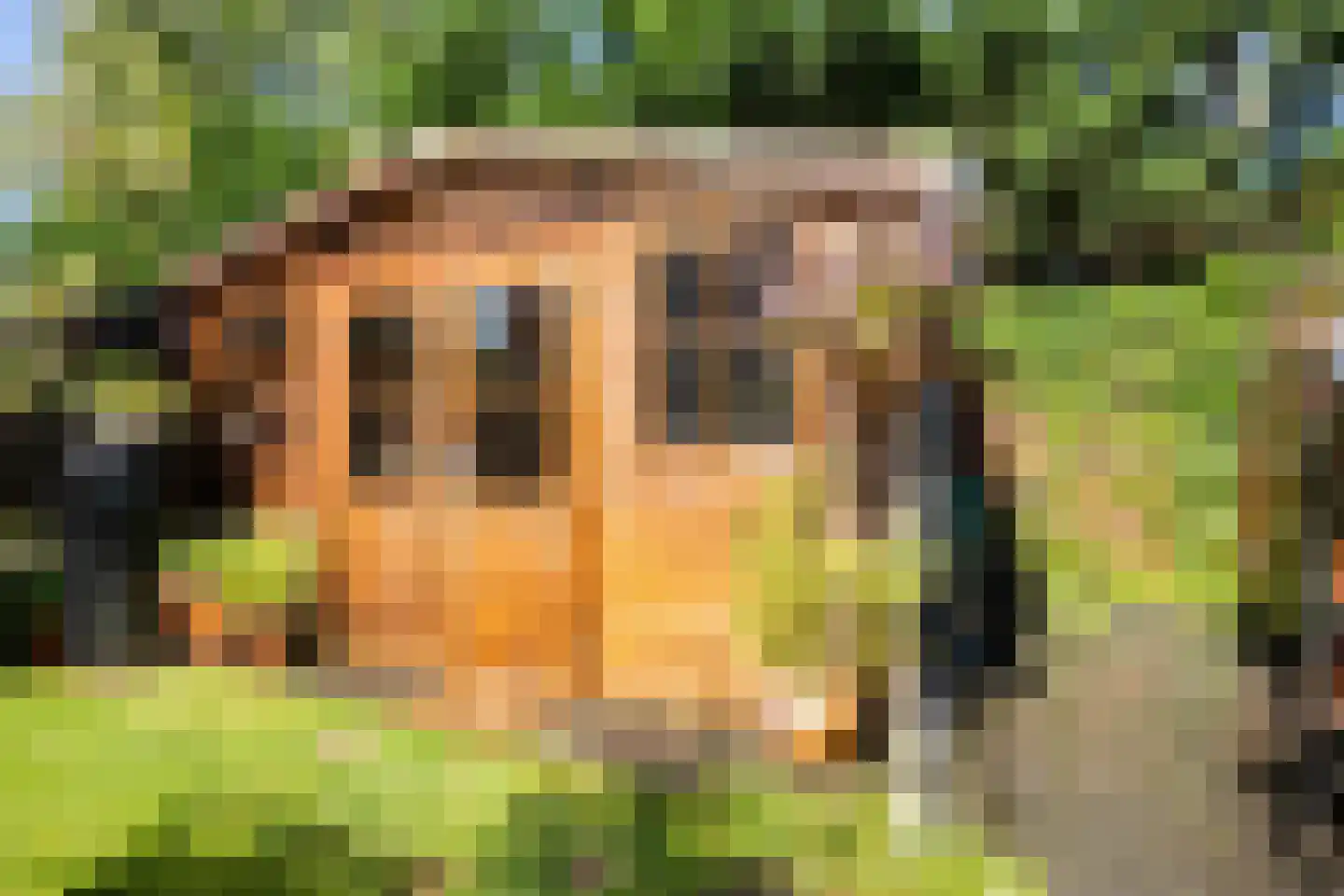 Thijsselaan 89 Den Burg thumbnail 70
