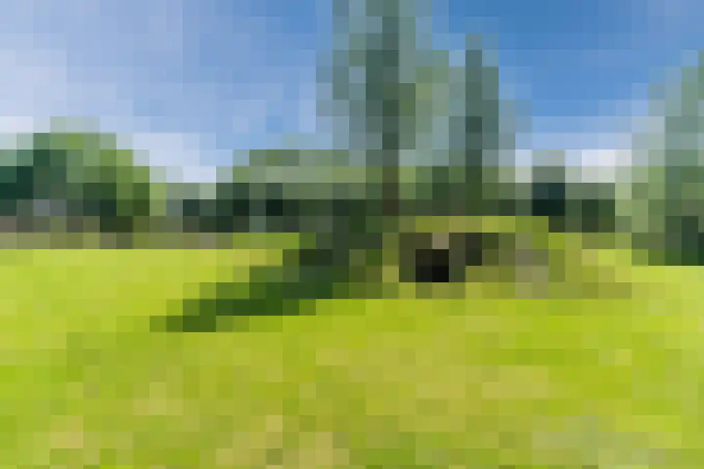 Thijsselaan 96 Culemborg thumbnail 4