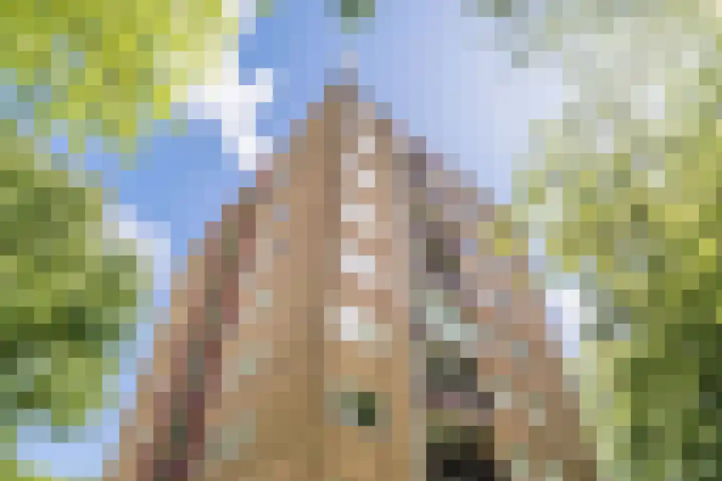 Thijssestraat 157 Zaandam thumbnail 6