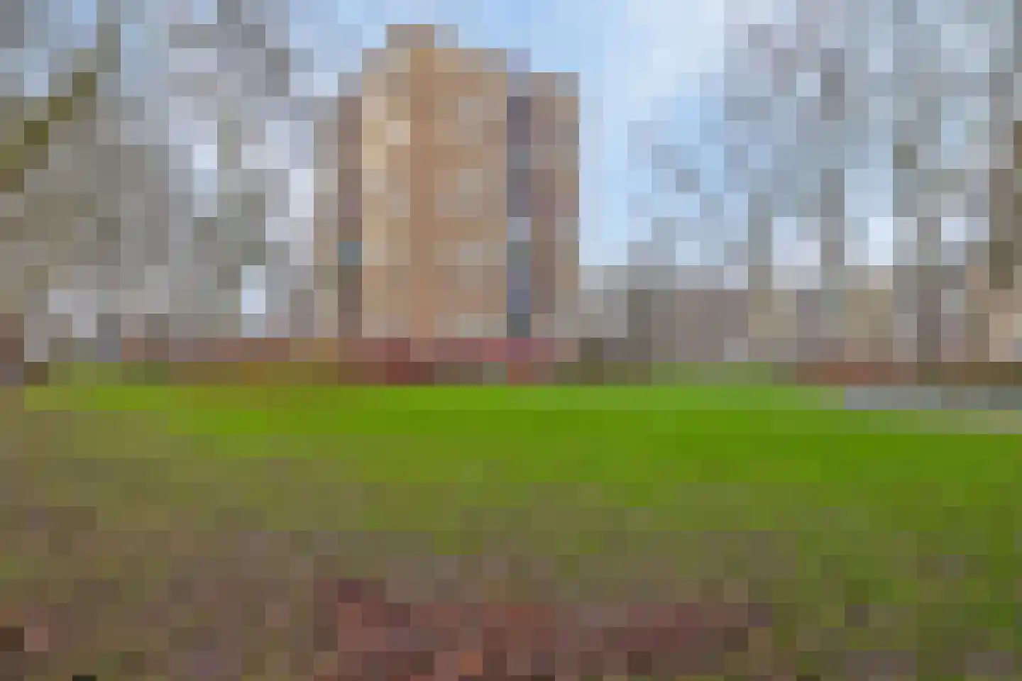Thijssestraat 161 Zaandam thumbnail 29