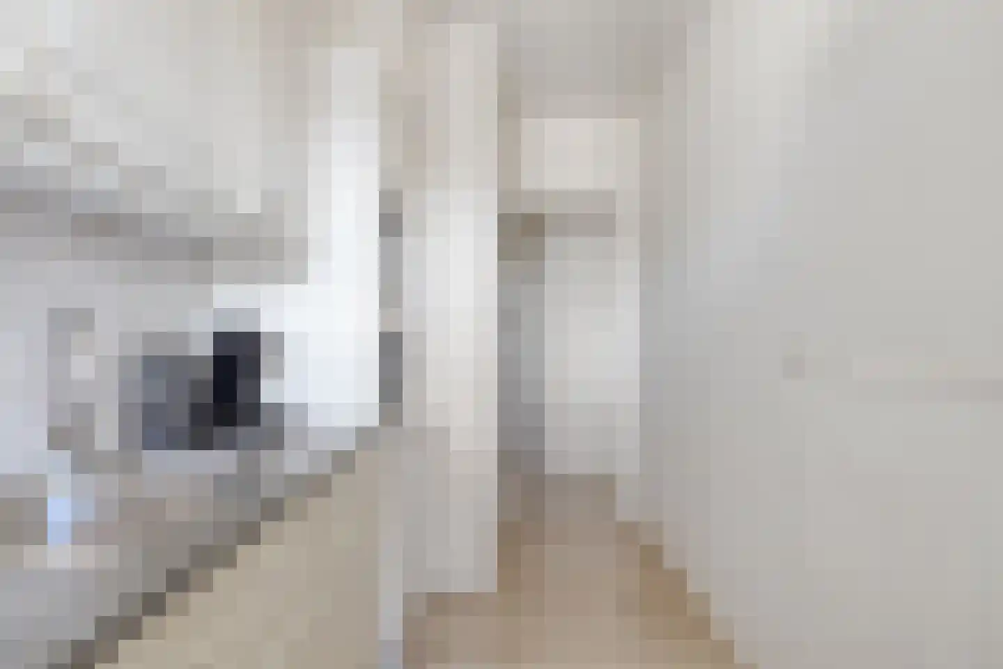 Thijssestraat 205 Zaandam thumbnail 32