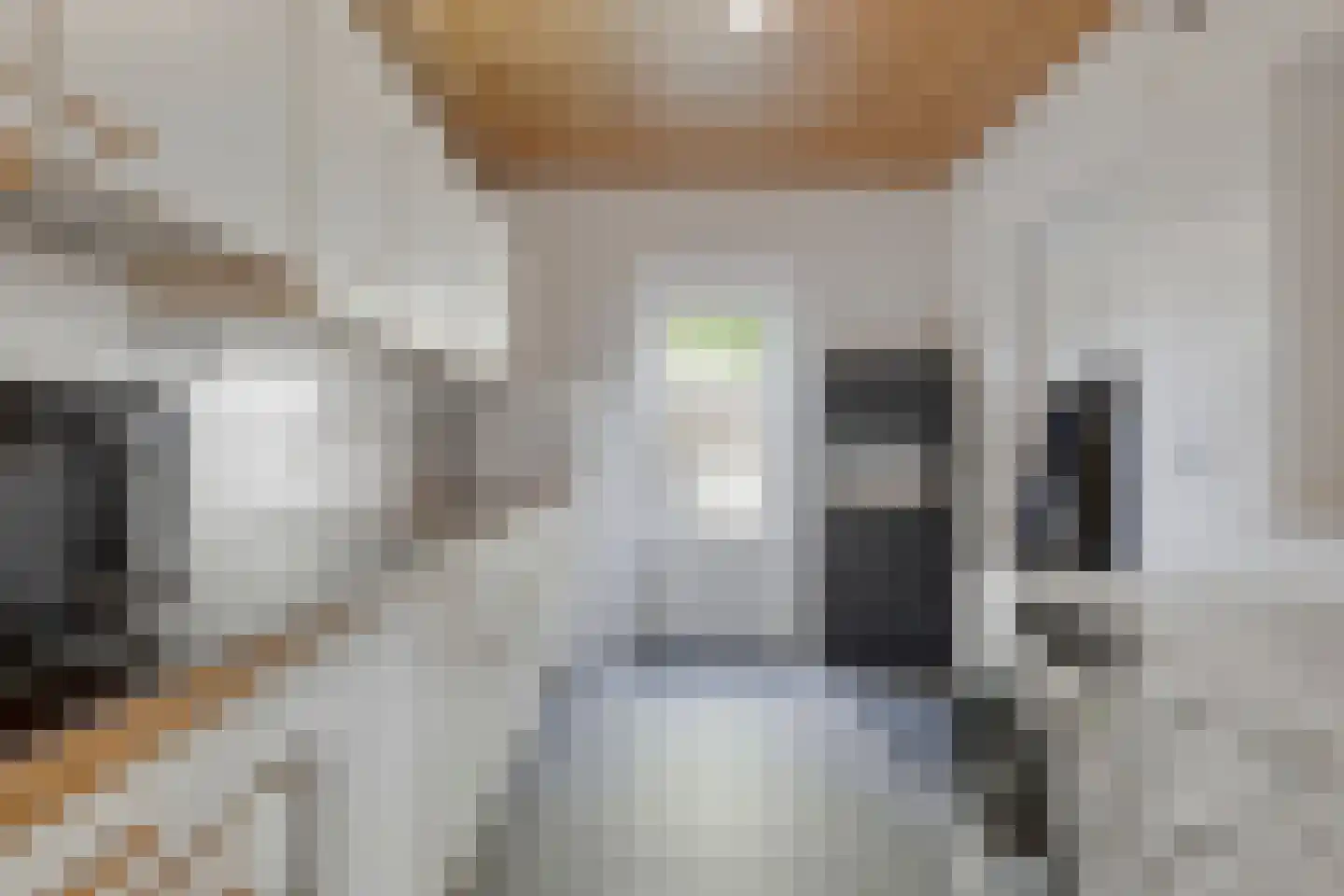 Thijssestraat 3 Deurne thumbnail 12