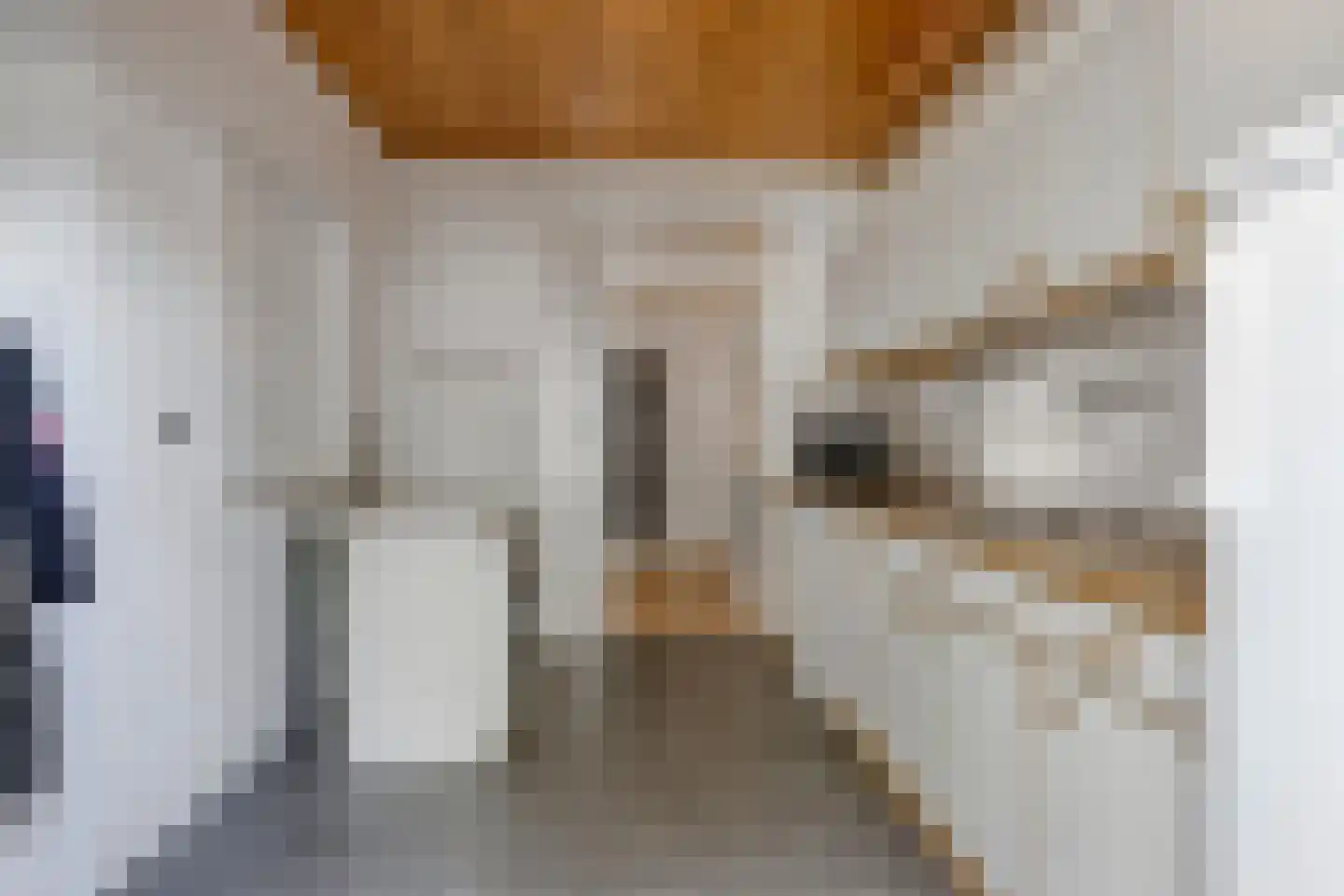 Thijssestraat 3 Deurne thumbnail 13