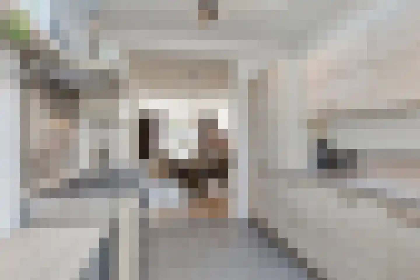 Thijssestraat 3 Deurne thumbnail 16