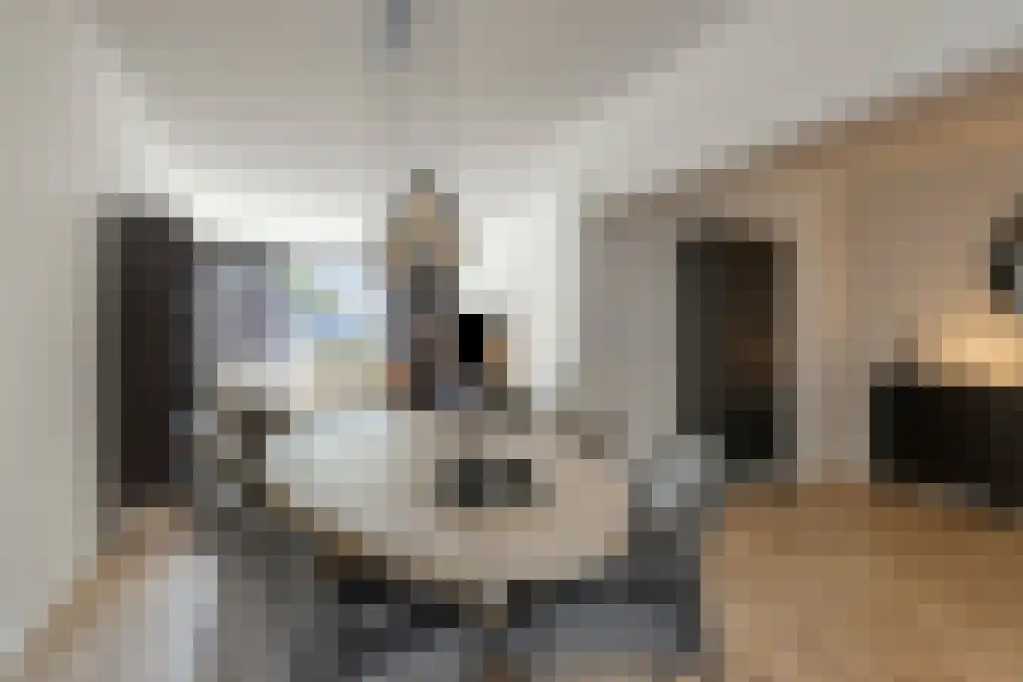 Thijssestraat 3 Deurne thumbnail 17