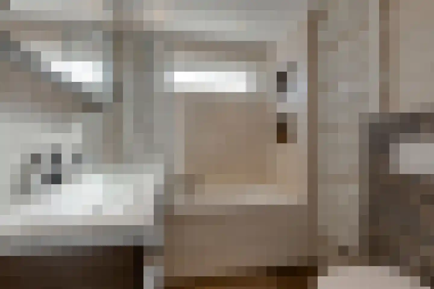 Thijssestraat 3 Deurne thumbnail 19