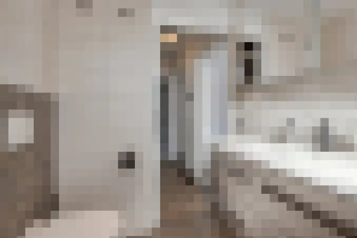 Thijssestraat 3 Deurne thumbnail 20