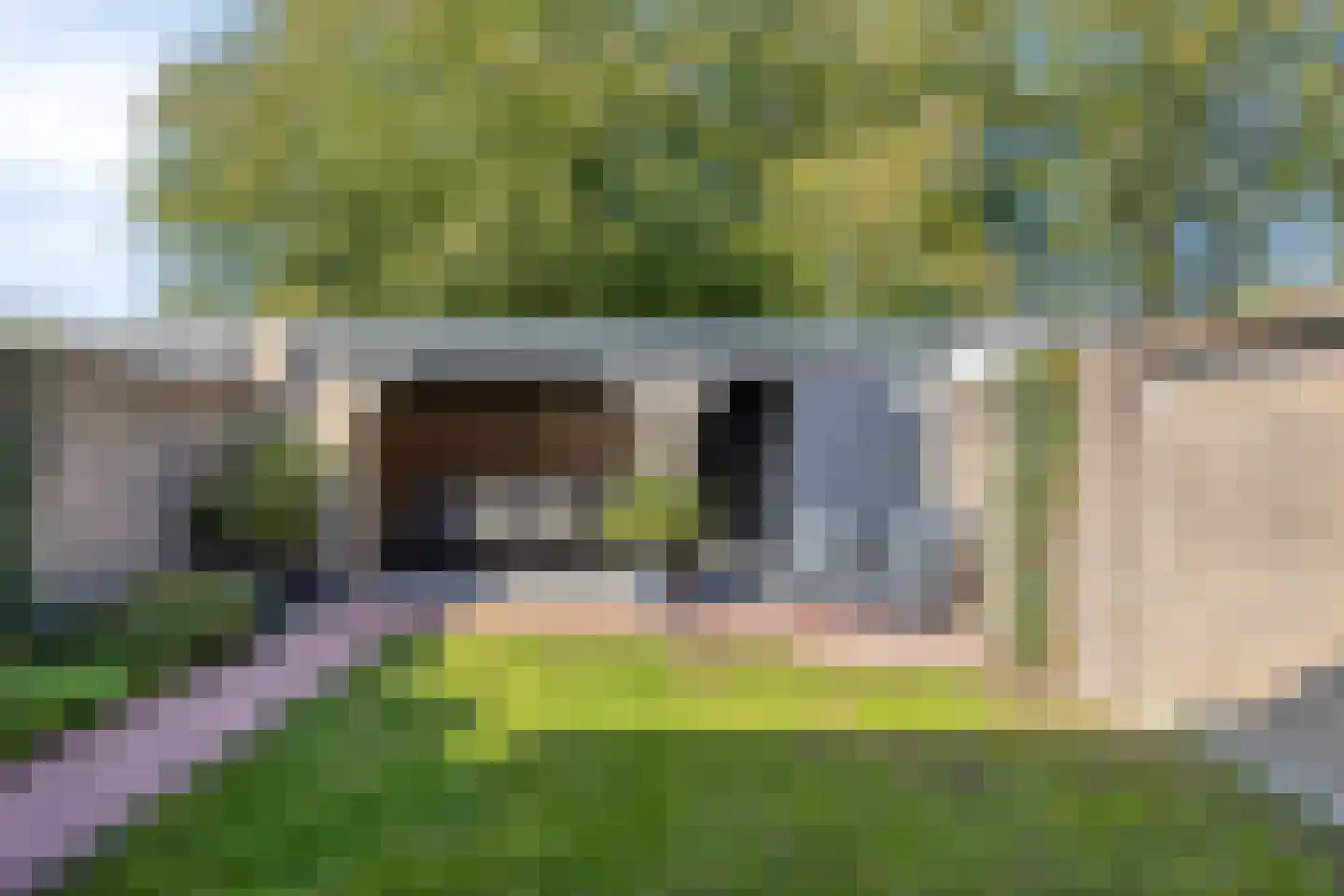 Thijssestraat 3 Deurne thumbnail 29