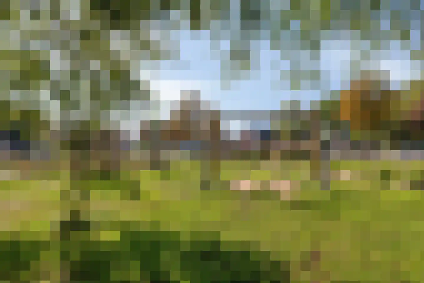 Thijssestraat 3 Deurne thumbnail 33