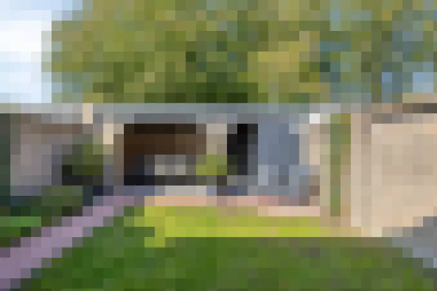 Thijssestraat 3 Deurne thumbnail 4