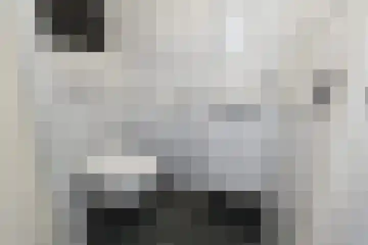 Thijssestraat 407 Den Haag thumbnail 26