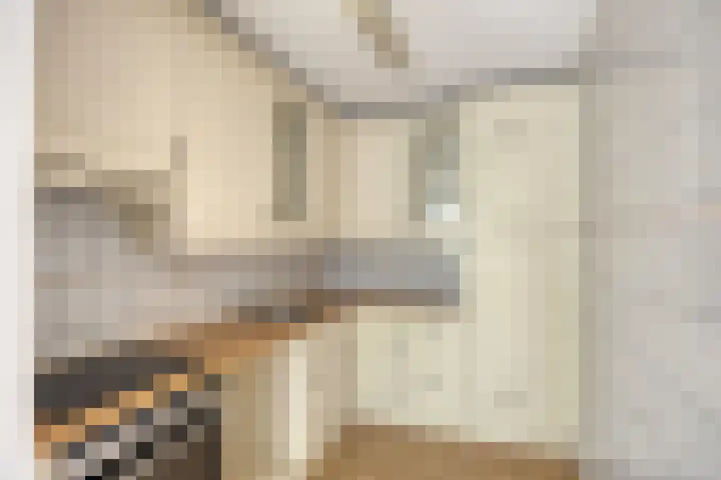 Thijssestraat 499 Den Haag thumbnail 5