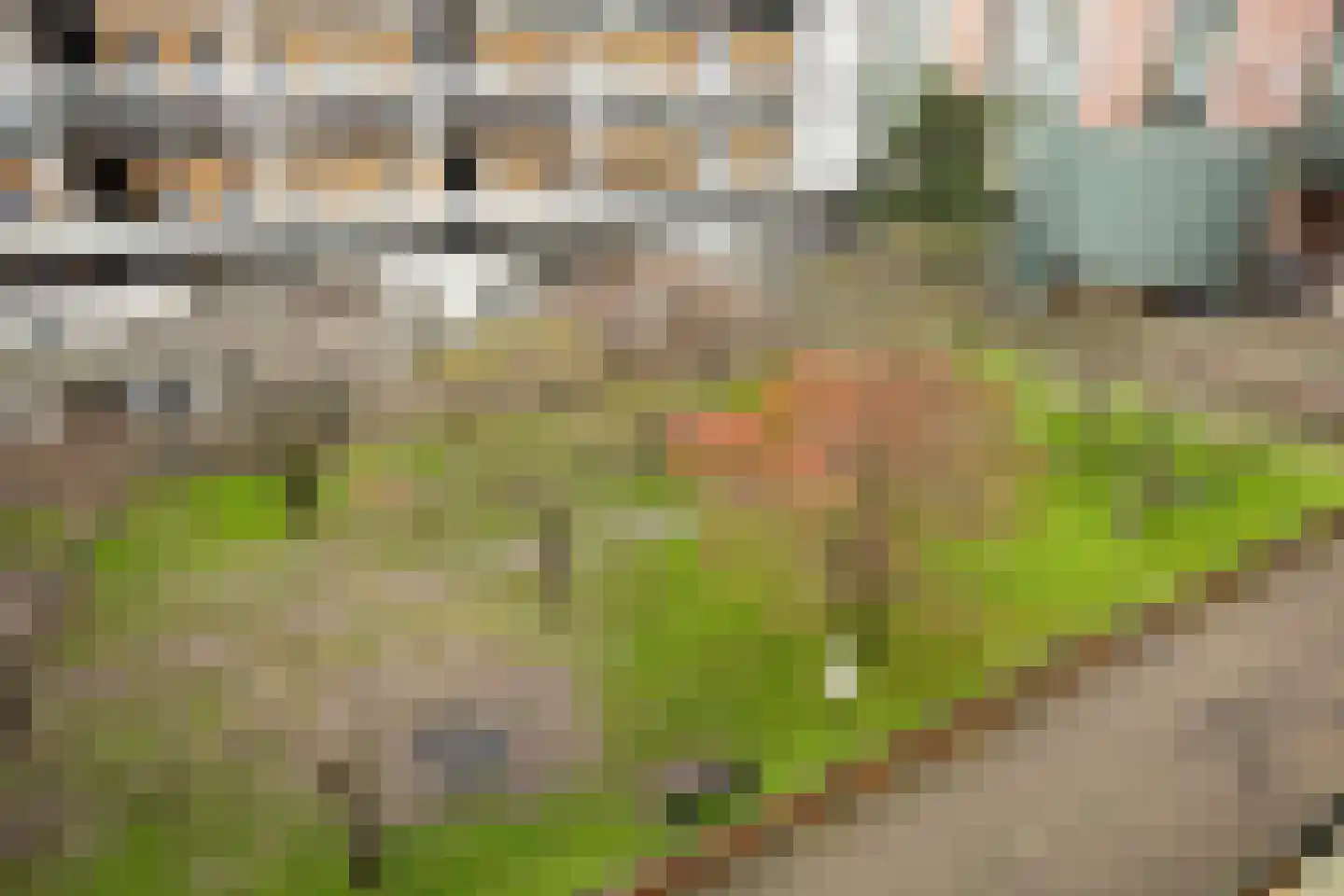 Thijssestraat 499 Den Haag thumbnail 7