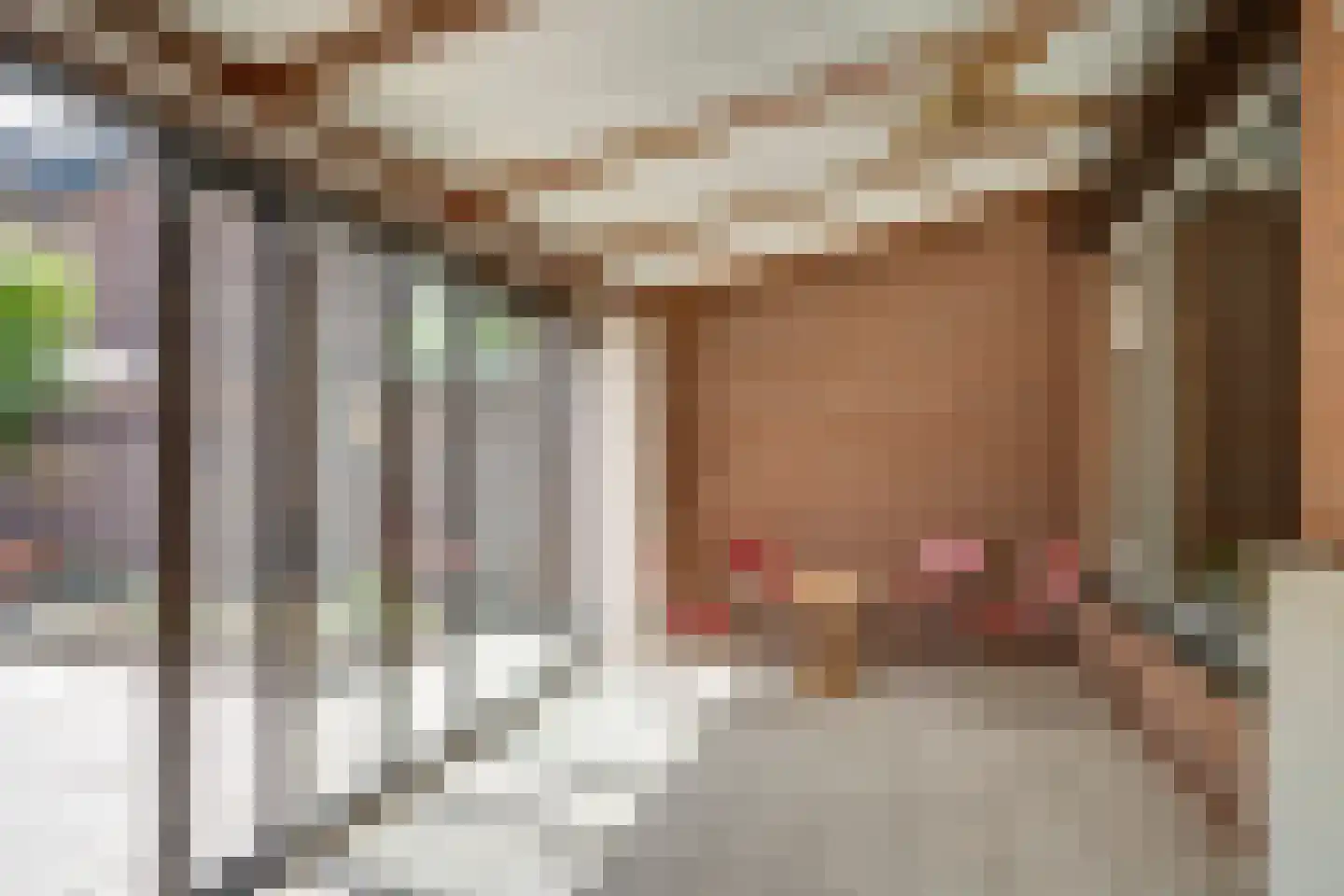 Thijssestraat 6 Deurne thumbnail 13