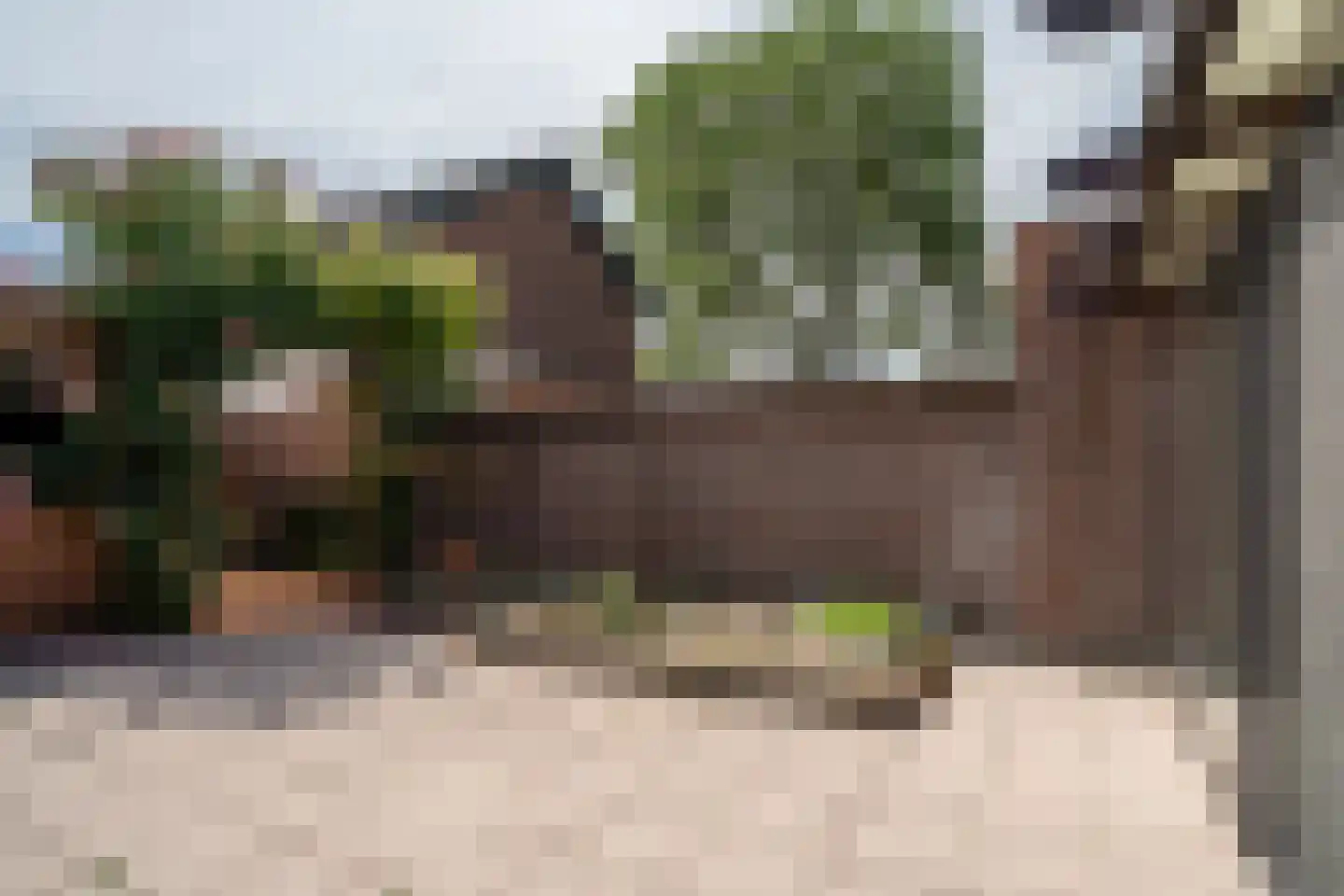 Thijssestraat 6 Deurne thumbnail 16