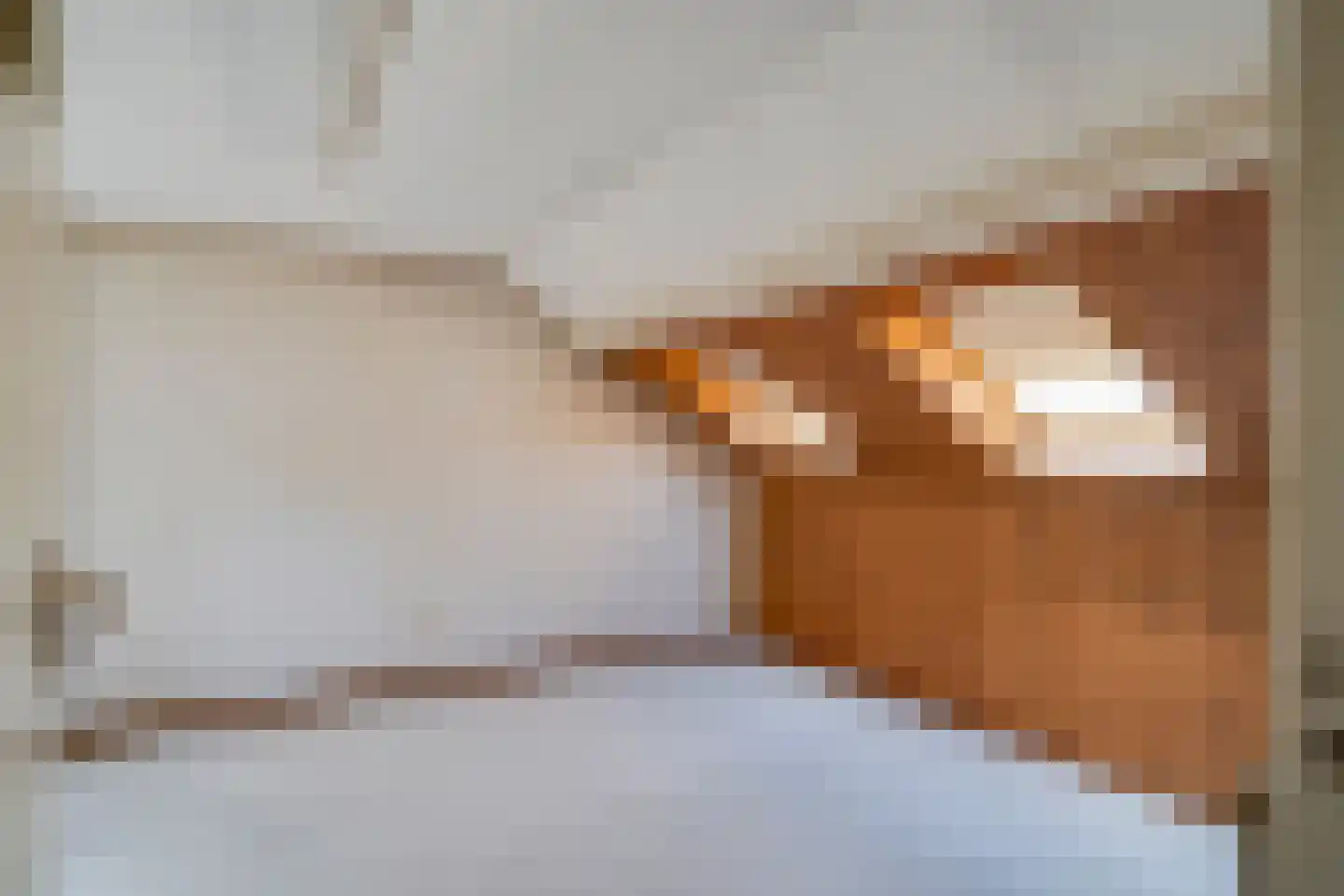 Thijssestraat 6 Deurne thumbnail 26