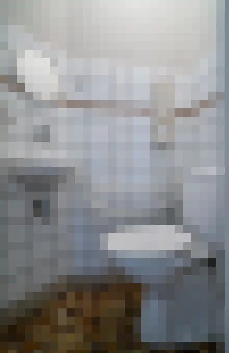 Thijssestraat 6 Deurne thumbnail 7