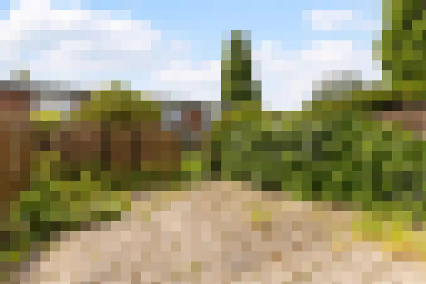 Thijssestraat 6 Zaandam thumbnail 6
