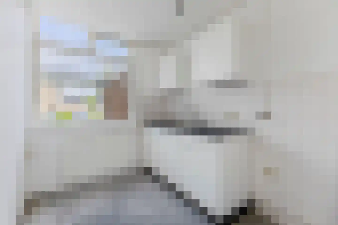 Thijssestraat 6 Zaandam thumbnail 7
