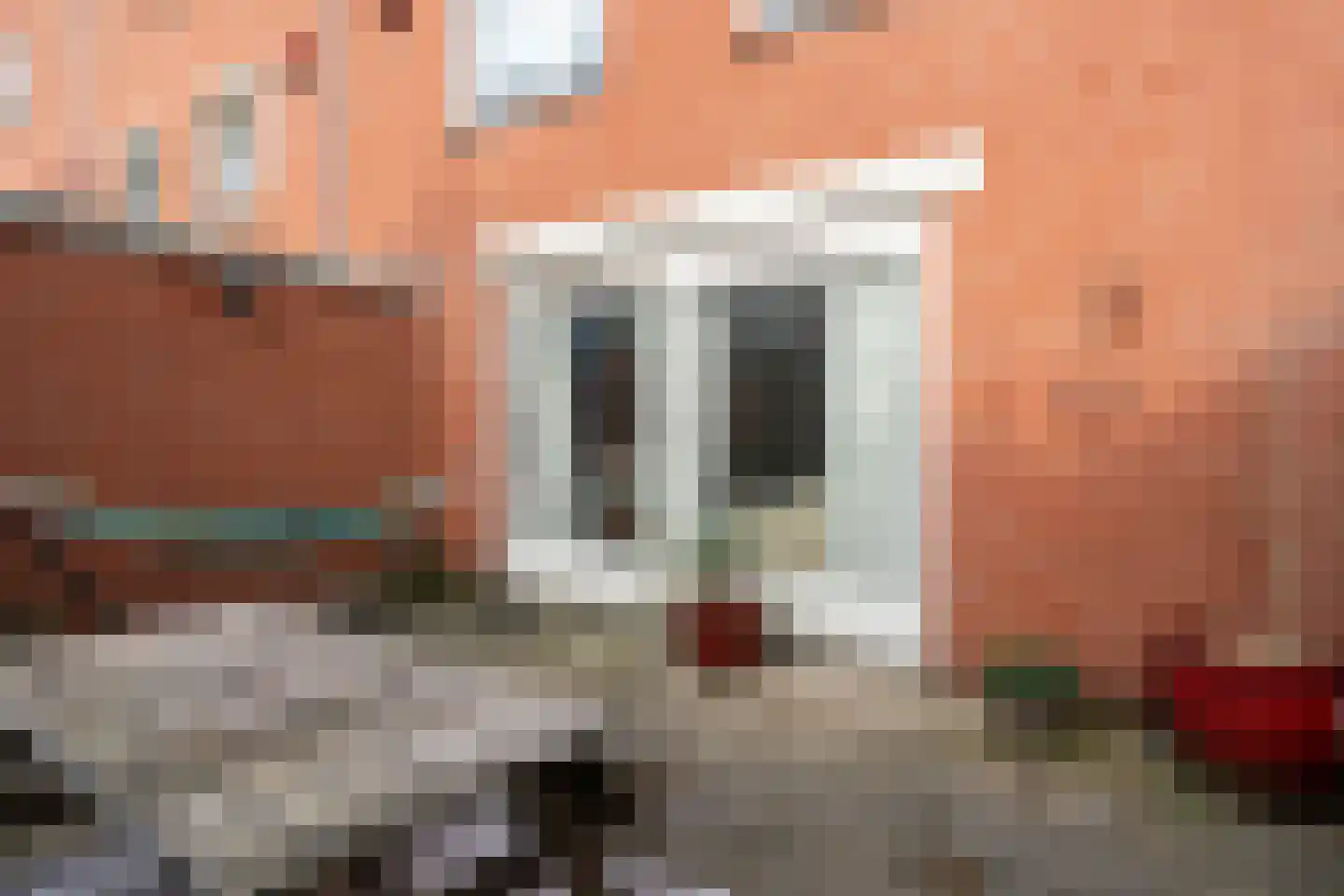 Thijssestraat 68 Den Haag thumbnail 20