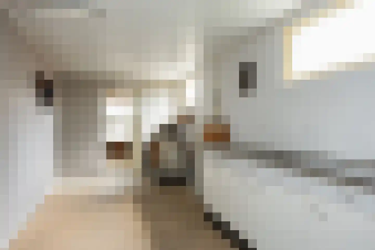 Thijstraat 8 Rossum thumbnail 21