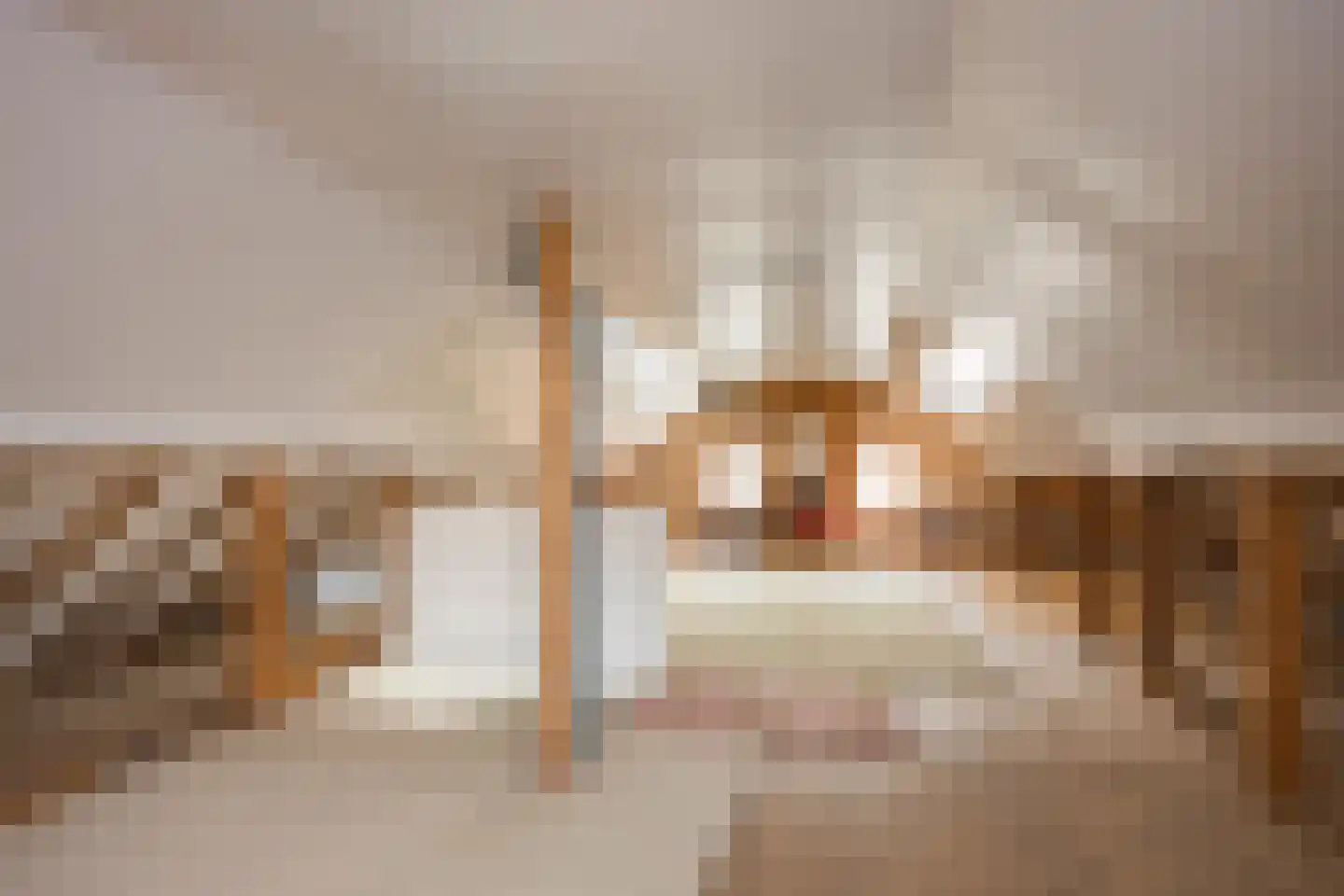 Thijstraat 8 Rossum thumbnail 29