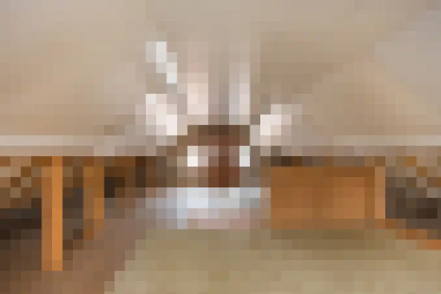 Thijstraat 8 Rossum thumbnail 30