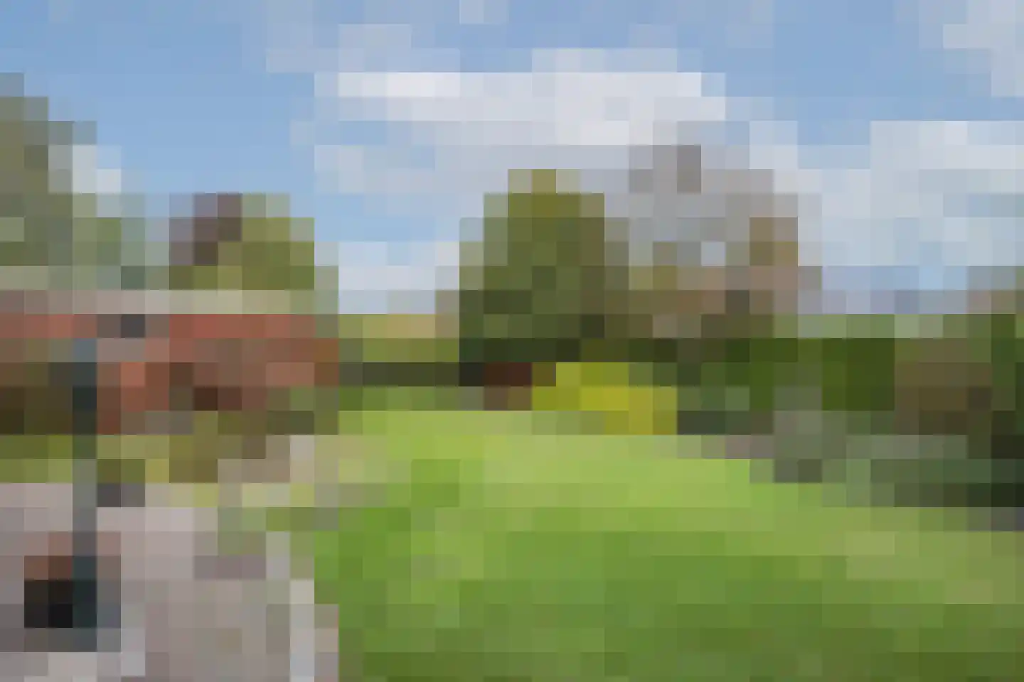 Thijstraat 8 Rossum thumbnail 33