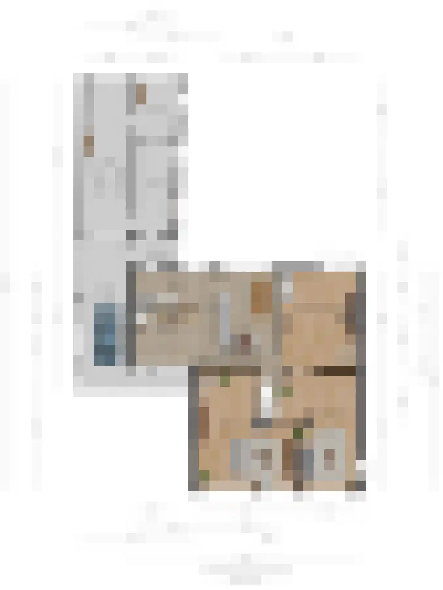 Thijstraat 8 Rossum thumbnail 39