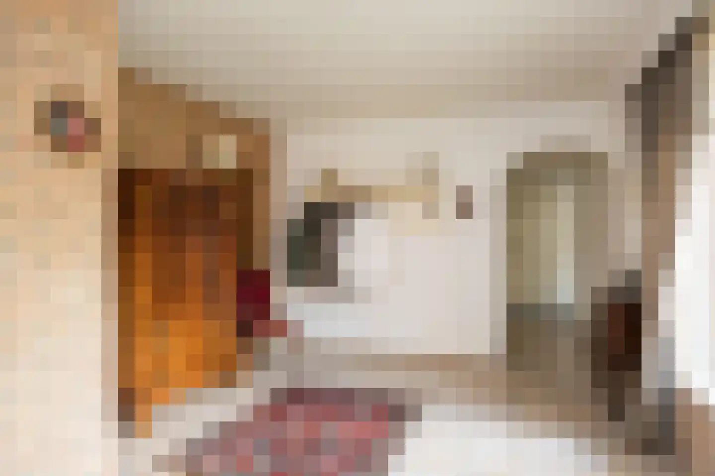 Thijstraat 8 Rossum thumbnail 6