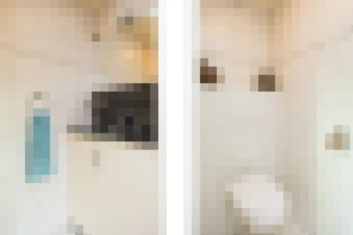 Thijstraat 8 Rossum thumbnail 8
