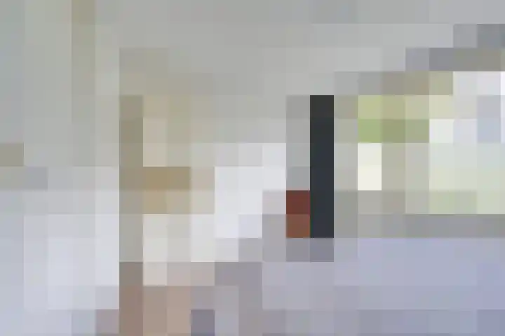 Thinsstraat 15 Utrecht thumbnail 33