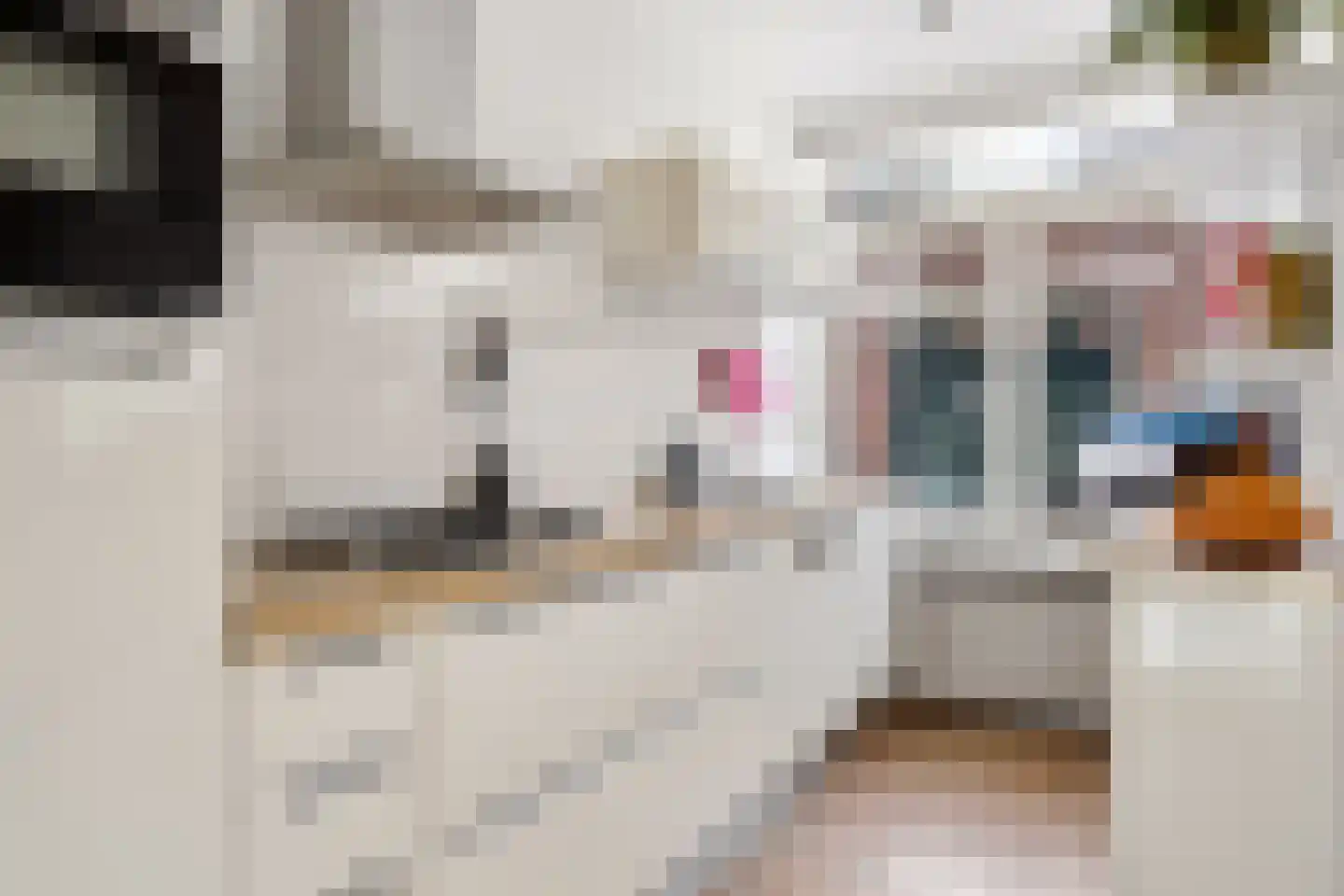 Thinsstraat 5 Utrecht thumbnail 4