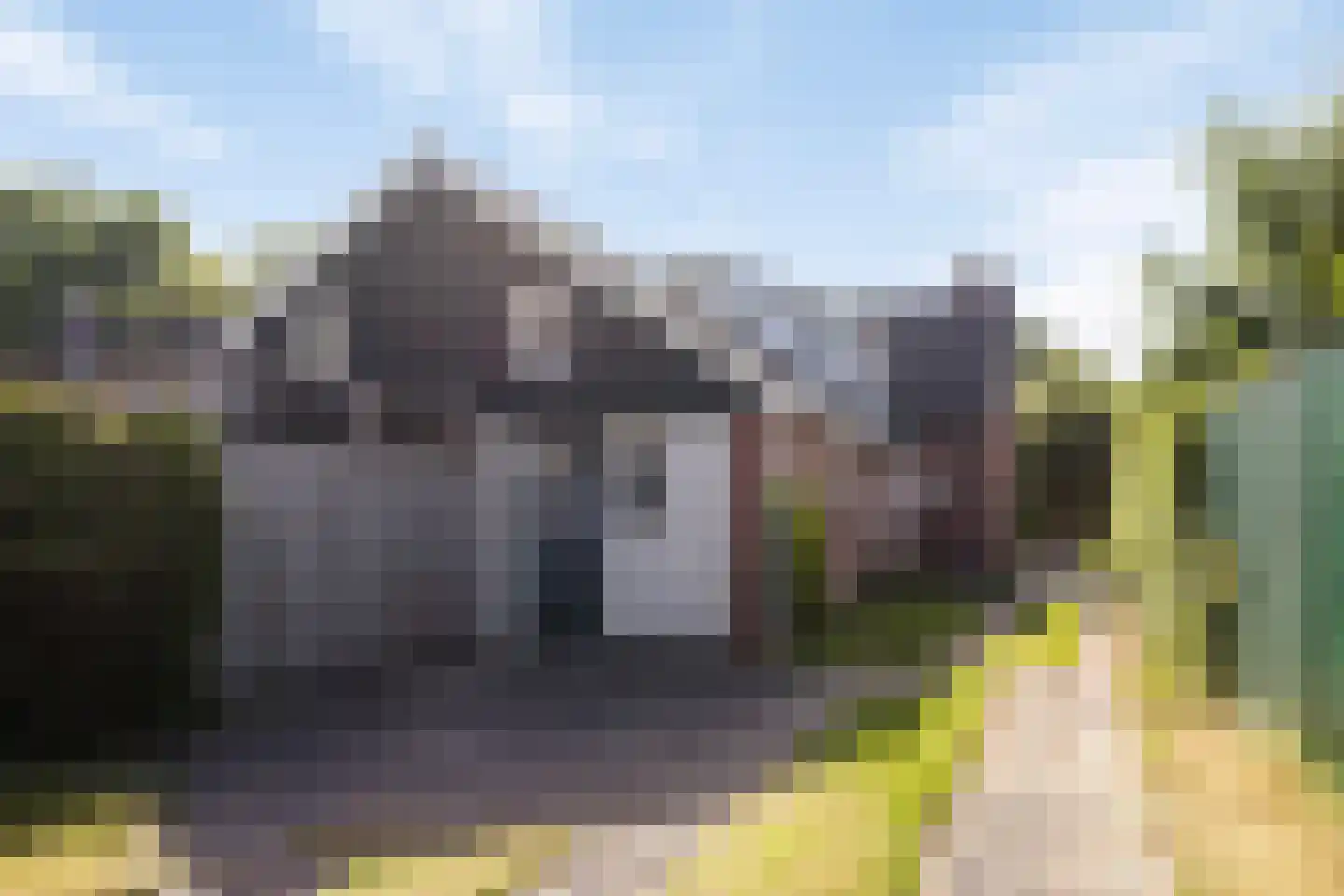 Thoden van Velzenweg 13 Hurdegaryp thumbnail 4