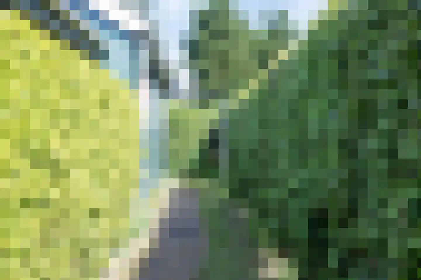 Thoden van Velzenweg 13 Hurdegaryp thumbnail 9