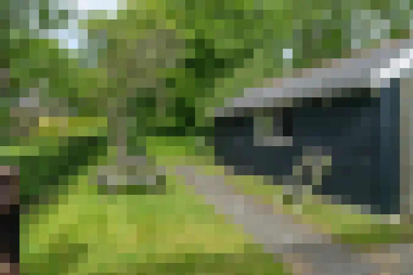Thoden van Velzenweg 4 Hurdegaryp thumbnail 33