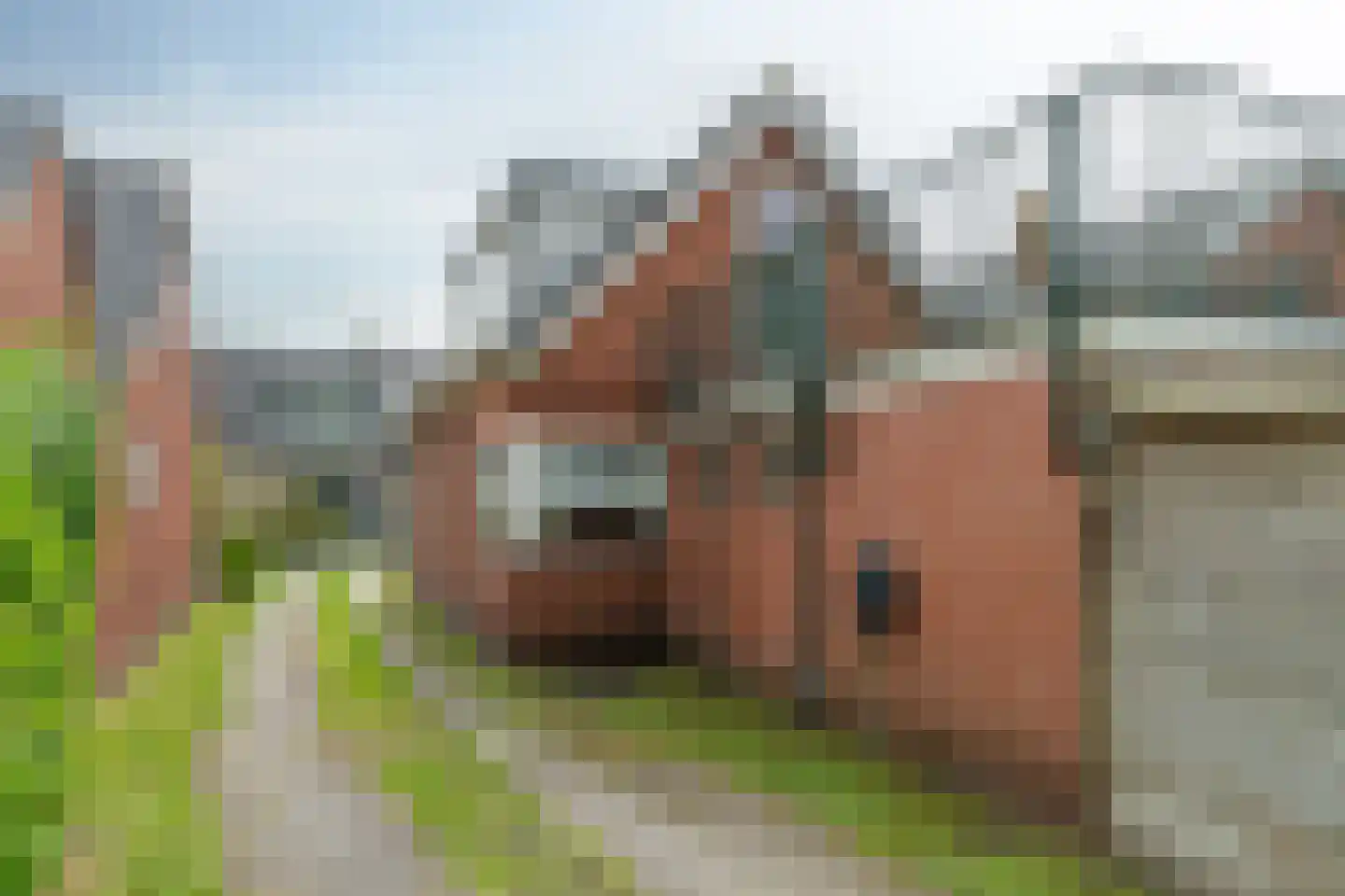 Thoden van Velzenweg 4 Hurdegaryp thumbnail 36