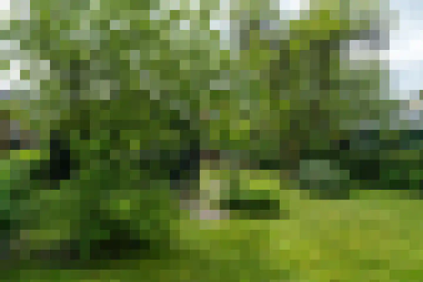 Thoden van Velzenweg 4 Hurdegaryp thumbnail 38