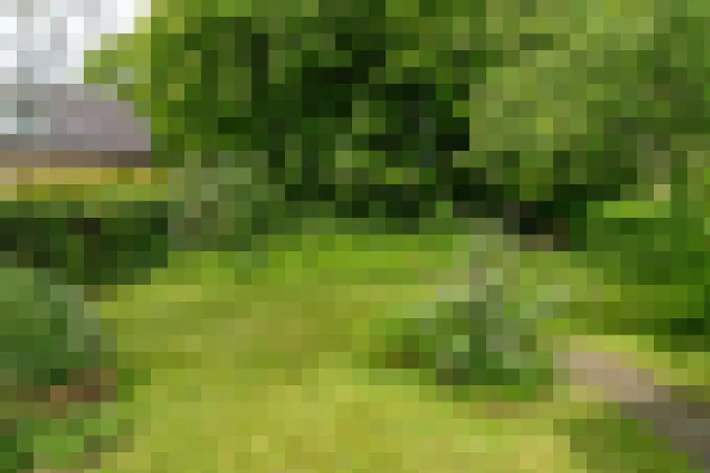 Thoden van Velzenweg 4 Hurdegaryp thumbnail 40