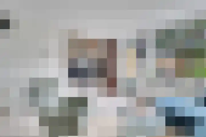 Tholen 51 Utrecht thumbnail 12