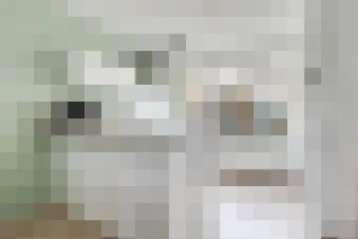 Tholen 51 Utrecht thumbnail 19
